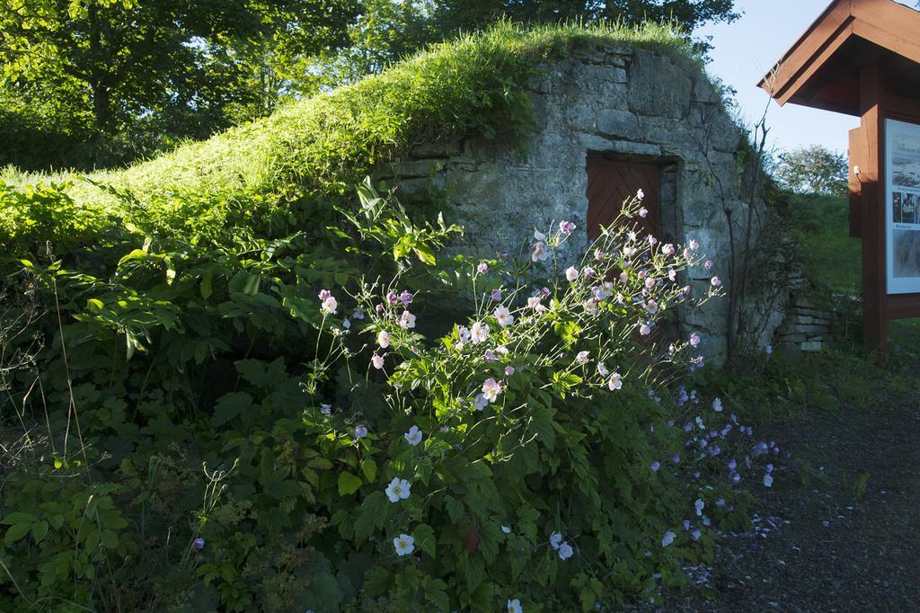 Loefwings B&B Broddetorp Luaran gambar